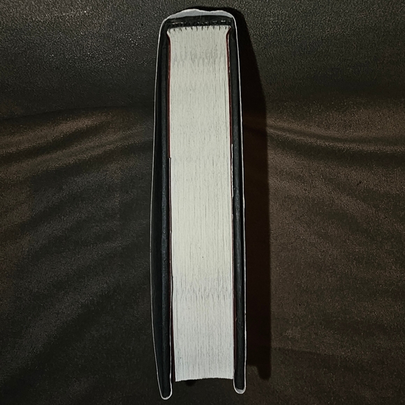 DISNEY Mirror, Mirror A Twisted Tale Jen Calonita 2019 Hardcover - Picture 9 of 11